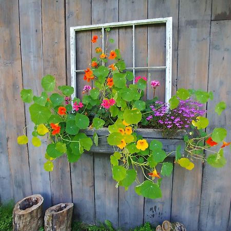 Spacious Country Retreat Close To Town And Nature, Sylvana Farm Vt Montpelier Bagian luar foto