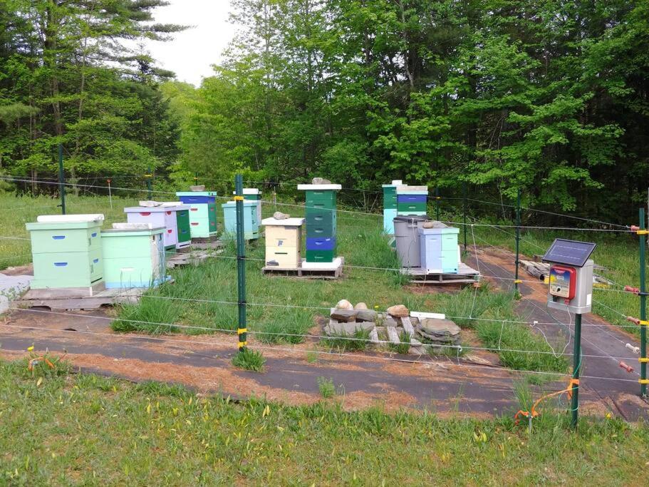 Spacious Country Retreat Close To Town And Nature, Sylvana Farm Vt Montpelier Bagian luar foto