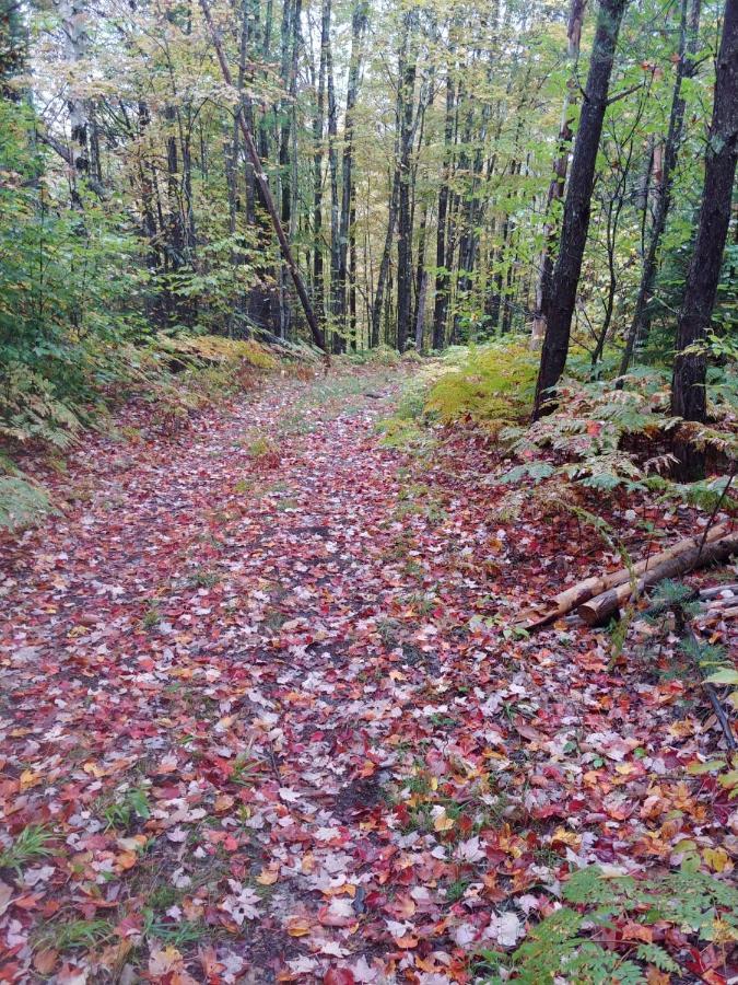 Spacious Country Retreat Close To Town And Nature, Sylvana Farm Vt Montpelier Bagian luar foto