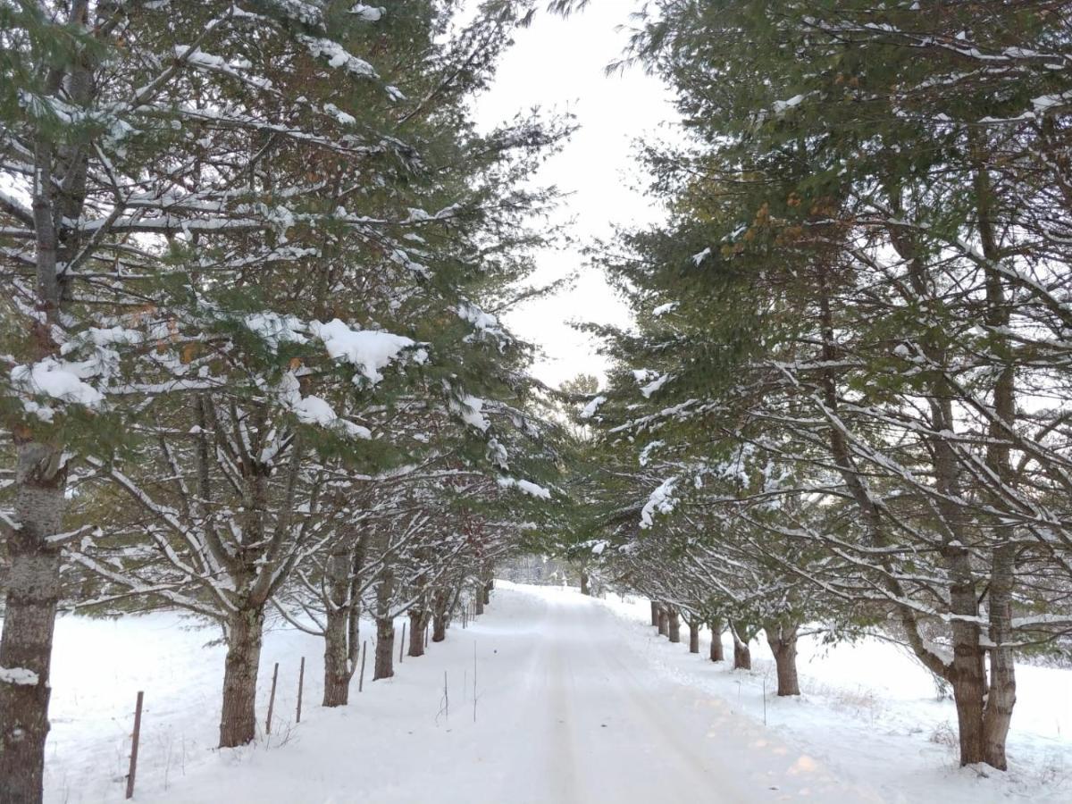 Spacious Country Retreat Close To Town And Nature, Sylvana Farm Vt Montpelier Bagian luar foto