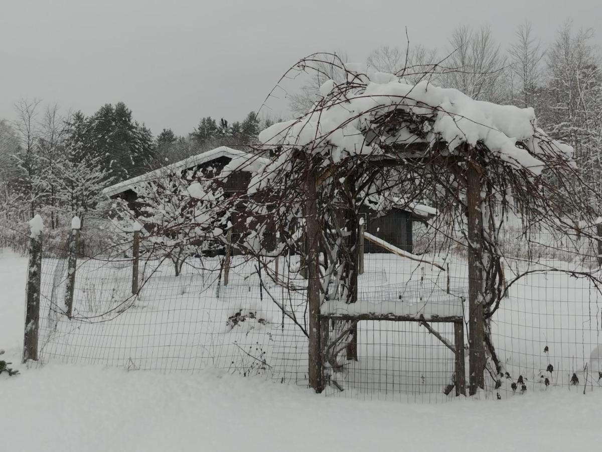 Spacious Country Retreat Close To Town And Nature, Sylvana Farm Vt Montpelier Bagian luar foto