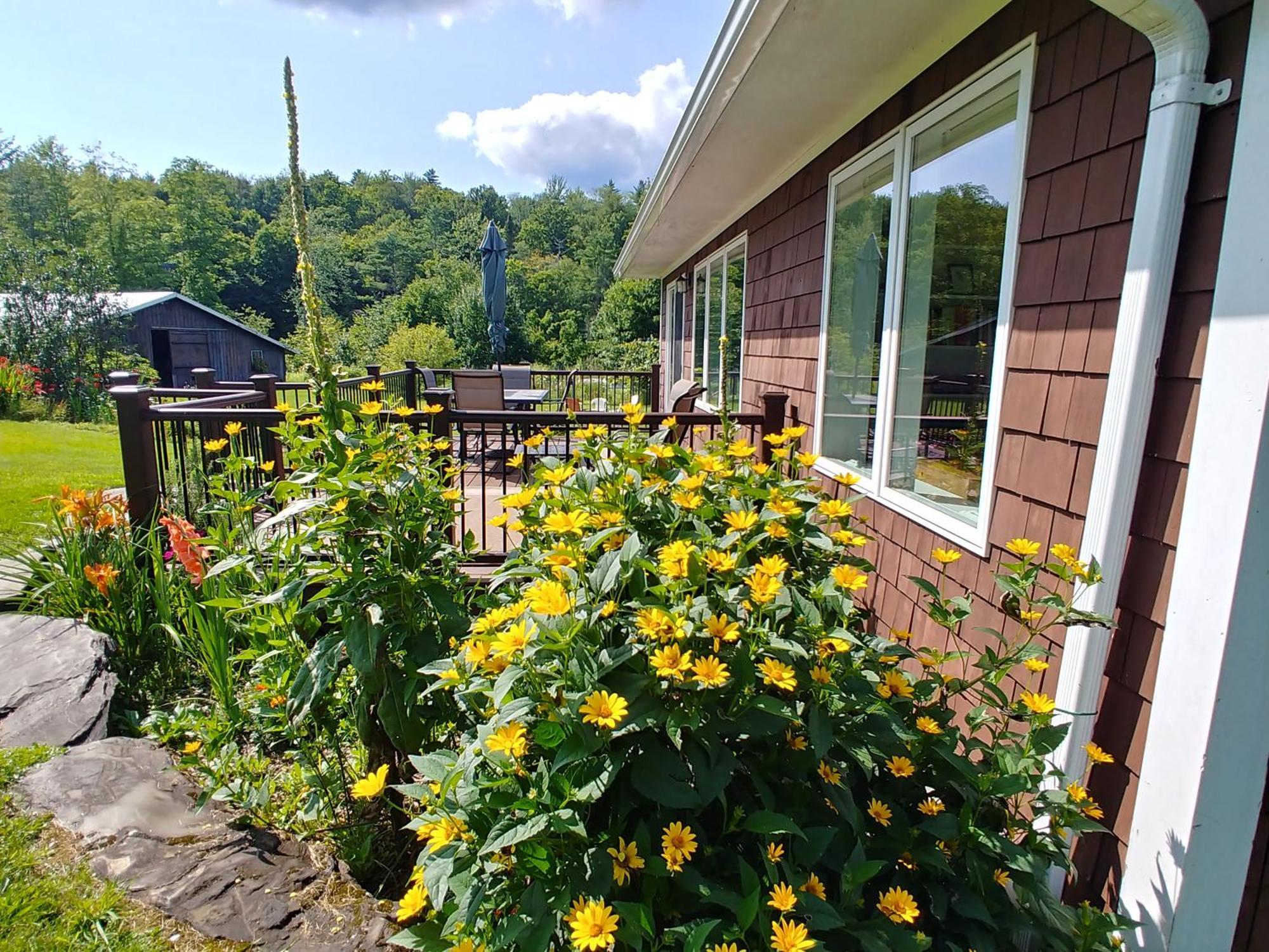 Spacious Country Retreat Close To Town And Nature, Sylvana Farm Vt Montpelier Bagian luar foto